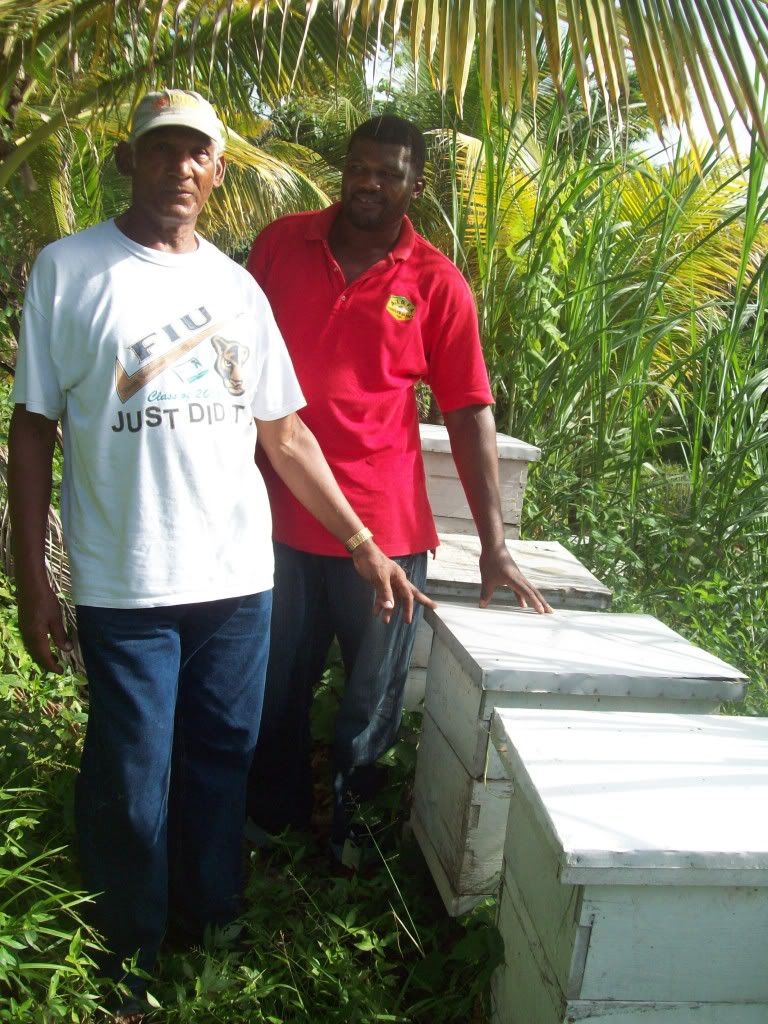 Beekeeping in Jamaica Beesource Beekeeping Forums